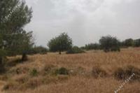 2174 SQM Land in Neo Chorio (Paphos) for sale 