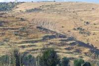 8696 SQM Land · Pentalia (Paphos) for sale 