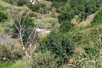 3345 SQM Land · Theletra (Paphos) for sale 