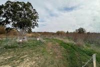 5166 SQM Land in Peristerona Lefkosias (Nicosia) for sale 