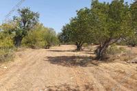 2174 SQM Land · Neo Chorio (Paphos) for sale 