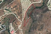 10271 SQM Land · Arsos Lemesou (Limassol) for sale 