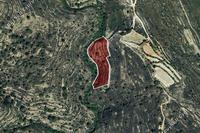 7358 SQM Land · Silikou (Limassol) for sale 