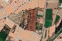 5552 SQM Land · Dali (Nicosia) for sale 