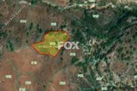 2342 SQM Land in Episkopi Pafou (Paphos) for sale 