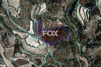 21640 SQM Land in Polemi (Paphos) for sale 