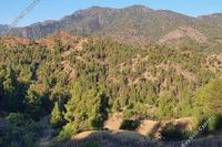 12042 SQM Land in Farmakas (Nicosia) for sale 