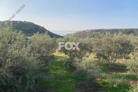 4900 SQM Land · Agios Tychonas (Limassol) for sale 