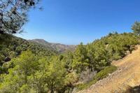6689 SQM Land in Kaimakli (Nicosia) for sale 
