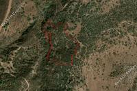 26191 SQM Land · Neo Chorio (Paphos) for sale 