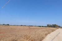 8790 SQM Land in Xylofagou (Larnaca) for sale 