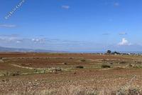 7358 SQM Land in Peristerona Lefkosias (Nicosia) for sale 