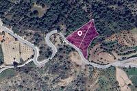 6480 SQM Land · Kinousa (Paphos) for sale 