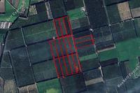 149229 SQM Land in Akrotiri (Limassol) for sale 