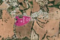 12207 SQM Land in Kato Akourdalia (Paphos) for sale 