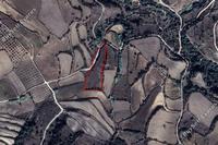 6689 SQM Land · Drynia (Paphos) for sale 