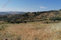 11740 SQM Land · Statos Agios Fotios (Paphos) for sale 