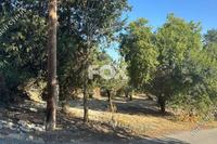 930 SQM Land in Polemi (Paphos) for sale 