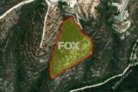 12375 SQM Land in Tsada (Paphos) for sale 