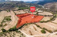 11456 SQM Land in Stroumbi (Paphos) for sale 