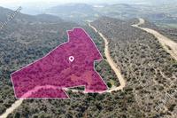 20068 SQM Land in Psematismenos (Larnaca) for sale 