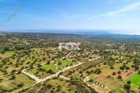 3 Bedroom Bungalow in Souni Zanakia (Limassol) for sale 