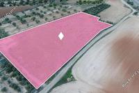 8938 SQM Land · Latsia (Nicosia) for sale 