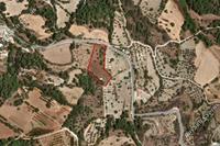 6355 SQM Land in Lysos (Paphos) for sale 