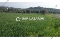 19037 SQM Land in Anglisides (Larnaca) for sale 