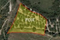 2705 SQM Land in Drousia (Paphos) for sale 
