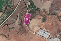 5017 SQM Land in Agia Varvara (Paphos) for sale 
