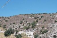 14047 SQM Land in Nata (Paphos) for sale 