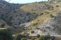 14047 SQM Land in Nata (Paphos) for sale 