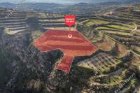 7024 SQM Land in Polemi (Paphos) for sale 