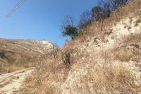 13379 SQM Land · Giolou (Paphos) for sale 