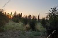 2120 SQM Land in Aradippou (Larnaca) for sale 