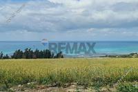 3000 SQM Land · Zygi (Larnaca) for sale 