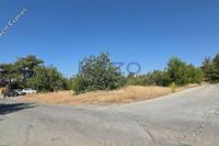 14935 SQM Land in Souni Zanakia (Limassol) for sale 