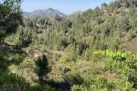 3001 SQM Land in Palaichori Oreinis (Nicosia) for sale 