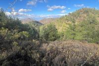 3001 SQM Land in Palaichori Oreinis (Nicosia) for sale 