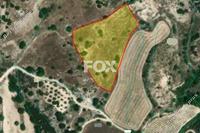 8027 SQM Land in Lemona (Paphos) for sale 