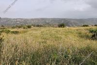 3512 SQM Land in Vouni (Limassol) for sale 