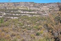 3512 SQM Land · Vouni (Limassol) for sale 