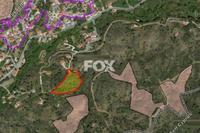 7659 SQM Land in Kato Platres (Limassol) for sale 