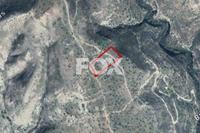 14382 SQM Land in Avdimou (Limassol) for sale 