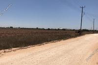 17253 SQM Plot in Avgorou (Famagusta) for sale 