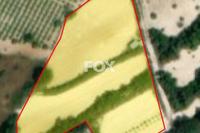 3972 SQM Land in Koili (Paphos) for sale 