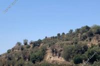 7024 SQM Land · Eledio (Paphos) for sale 