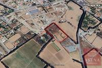 12375 SQM Land · Meneou (Larnaca) for sale 