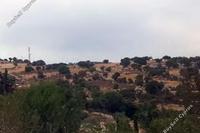 6355 SQM Land in Dora (Limassol) for sale 